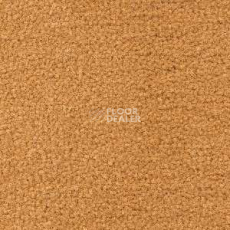 Ковролин Radici Forum Albicocca 2401 фото 1 | FLOORDEALER